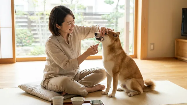 犬の口元をのぞき込む女性